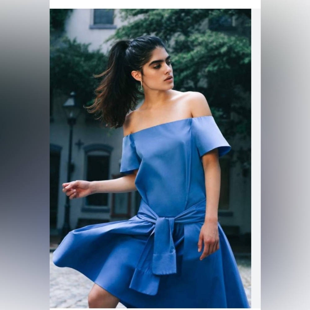 Halston Poplin dress 💎! Gorgeous color